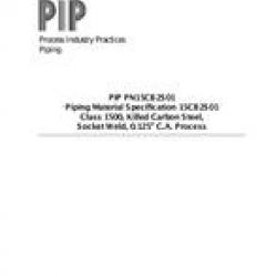 PIP PN15CB2S01