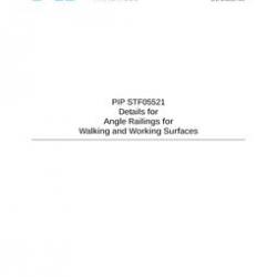 PIP STF05521