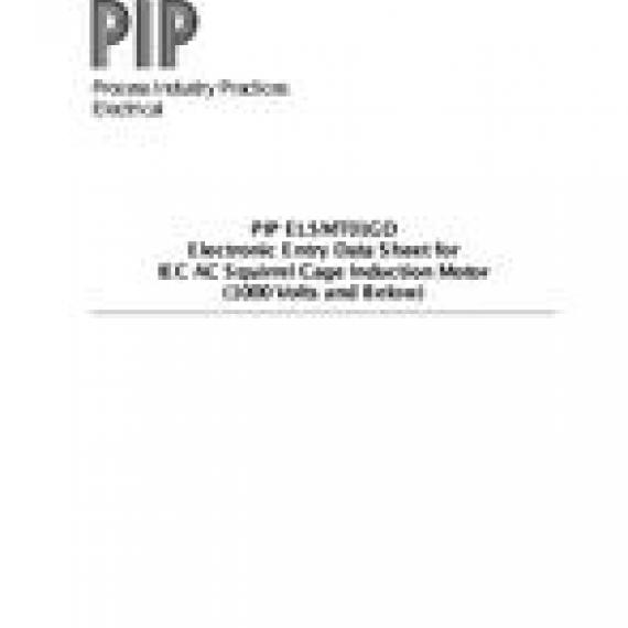 PIP ELSMT01GD-EEDS