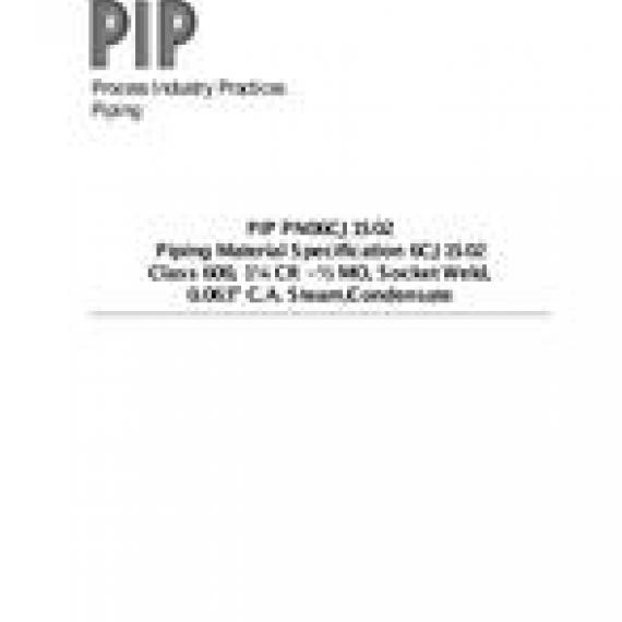 PIP PN06CJ1S02