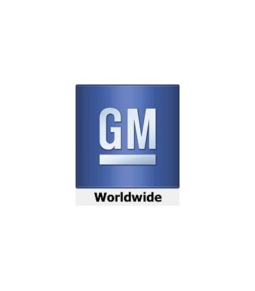 GMW3134