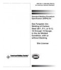 AWS B2.1-1-008:2002 (R2013)